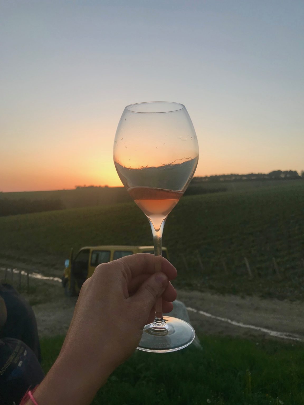 What Is Natural Wine — Smart In The Kitchen